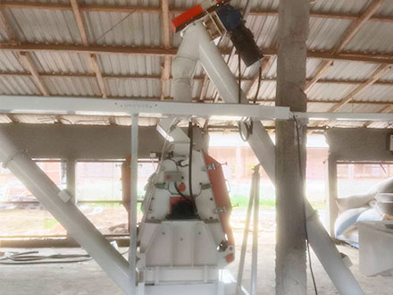37KW Animal Feed Powder Production Plant Project in Guinea 