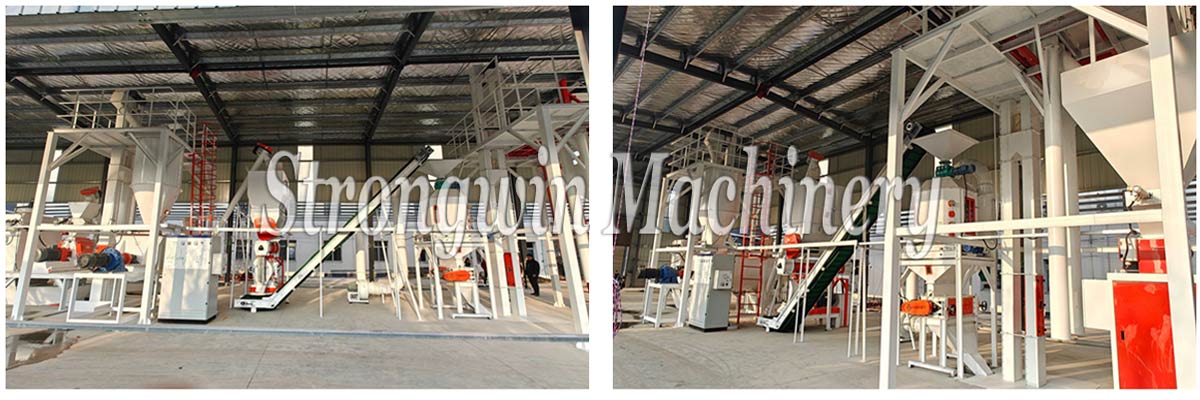 3 tons per hour poultry feed production plant in Hubei Province, China