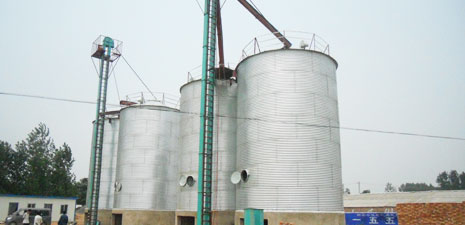 Steel Silo In Feed Production Line