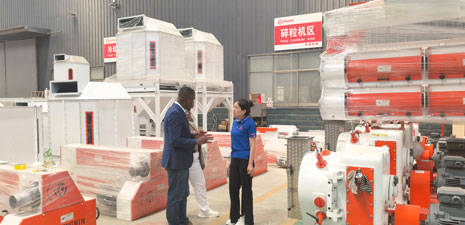 Customer from Ghana visits our feed production equipments factory