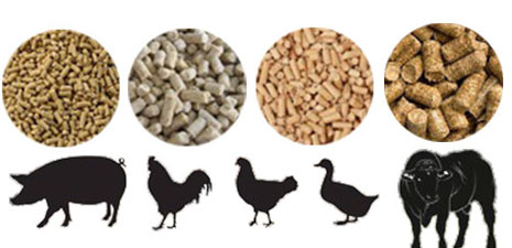 animal feed pellet durability