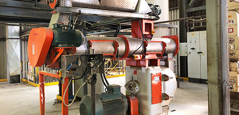 animal feed pellet mill