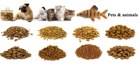 pet feed machinery,pet feed production line