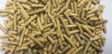 pellet feed appearance