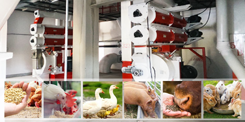 Complete Feed Plant Solution Animal Feed Pellet Production Machines with factory price