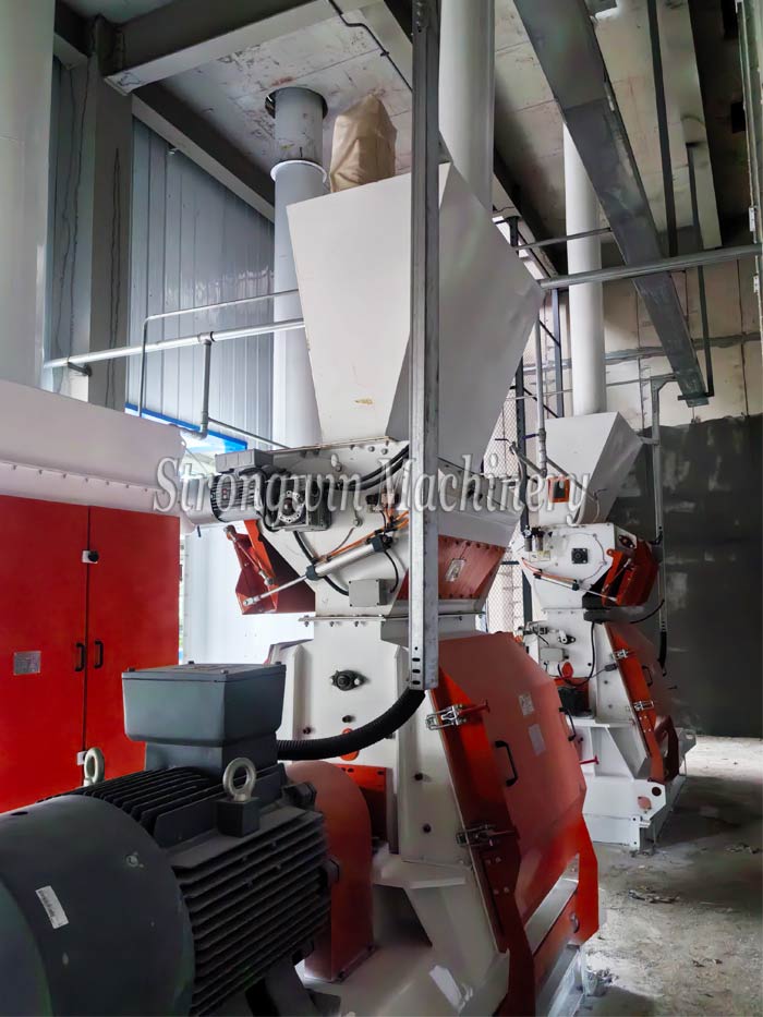 Double SZLH508 Animal feed production machine installation site in Gansu Province, China