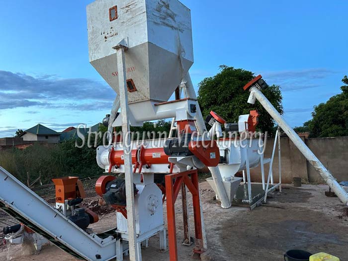 2 tons per hour feed production line in Congo